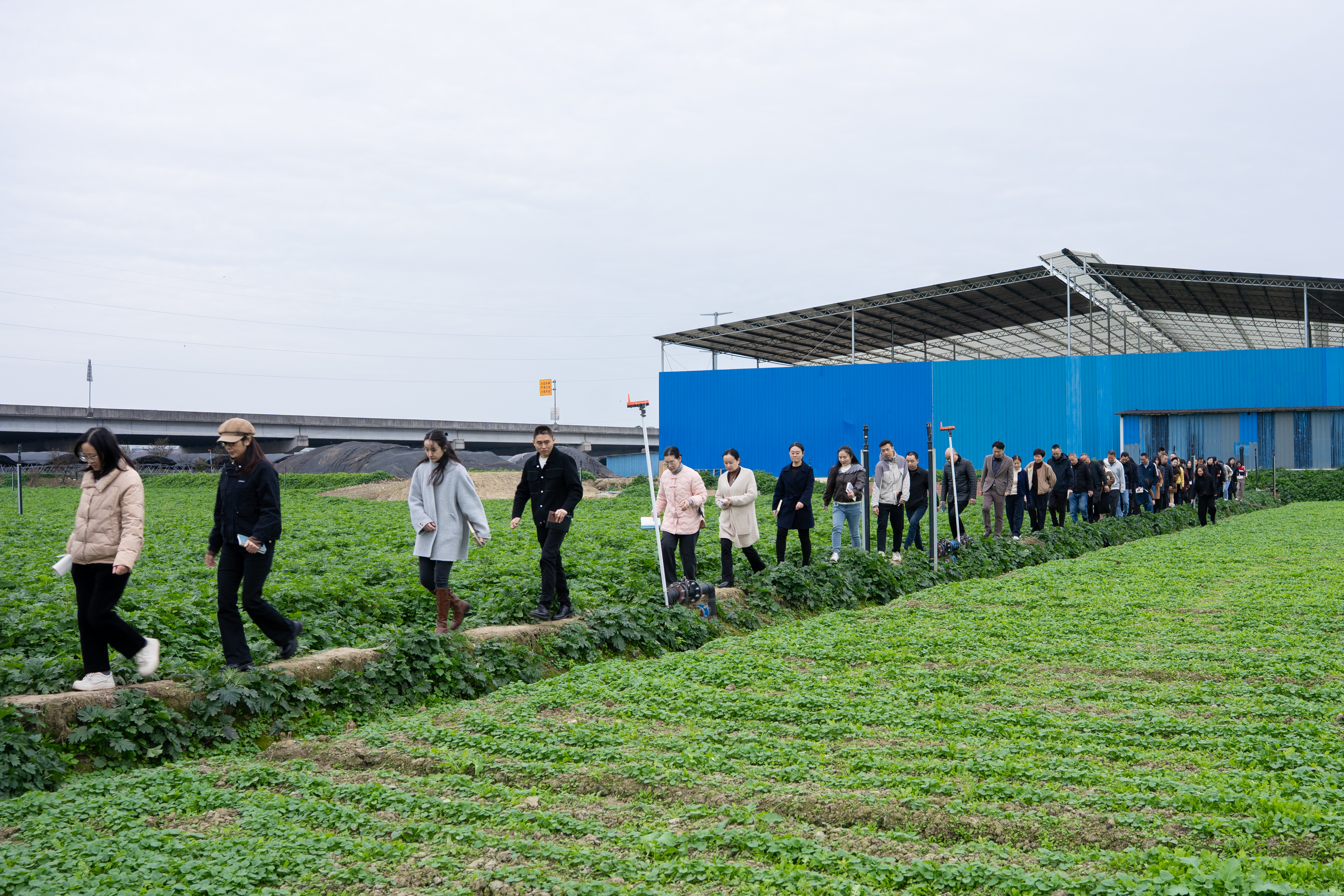 BB电子游戏·(中国)官方官网