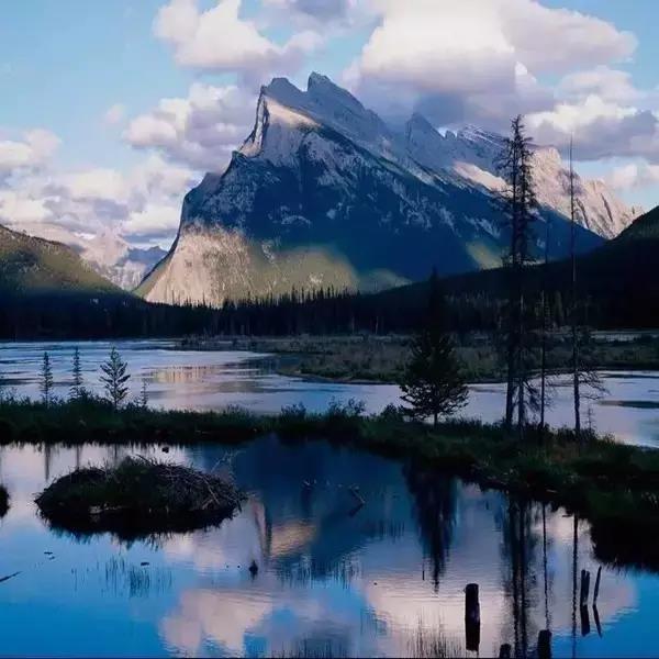 BB电子游戏·(中国)官方官网